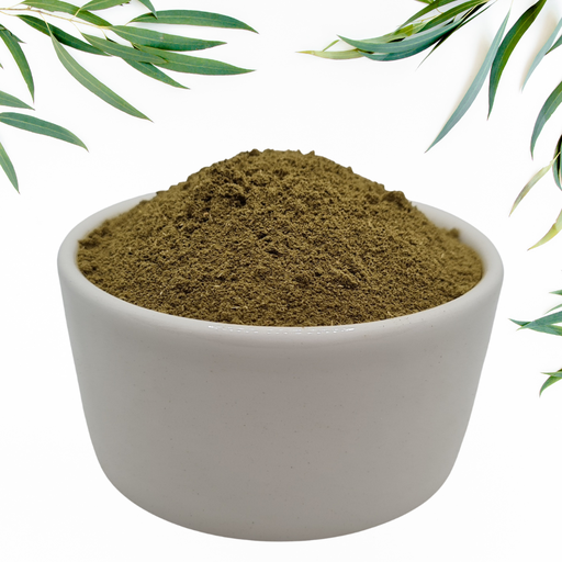 Menta 